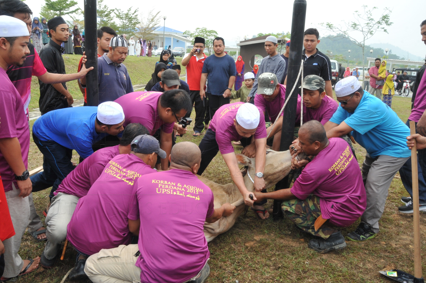 PRO15 150 KORBAN HAS 6703